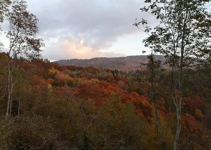 Al Salt Semesterbostad